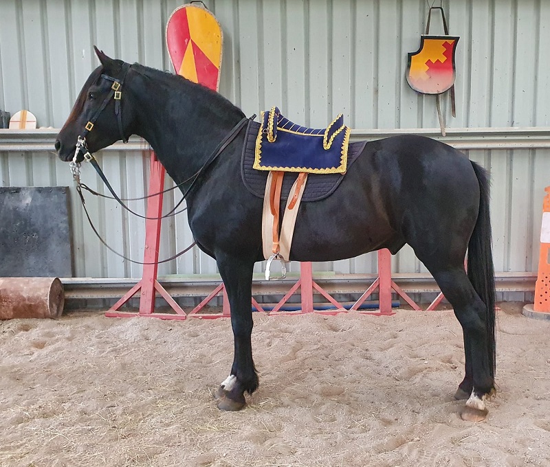 Narrawin Stud